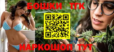 индика Бердск