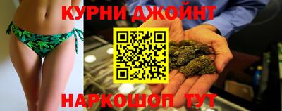индика Бердск