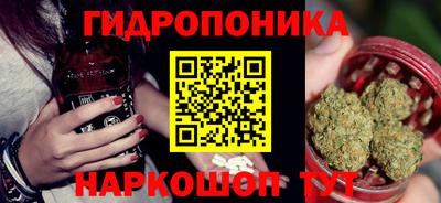 индика Бердск
