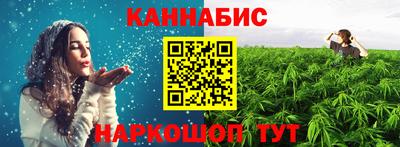 индика Бердск