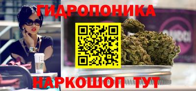 индика Бердск