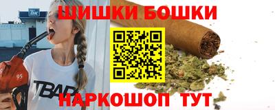 индика Бердск