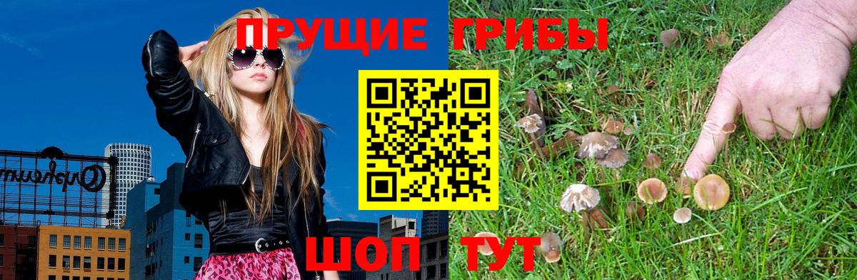 Галлюциногенные грибы мицелий  Вход с VPN  Донецк 